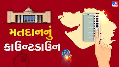 Gujarat First Phase Election LIVE: ગુજરાતમાં પ્રથમ તબક્કાની 89 બેઠક પર 1 ડિસેમ્બરે મતદાન, 788 ઉમેદવારના ભાવિનો થશે ફેંસલો, તૈયારીઓ પૂર્ણ