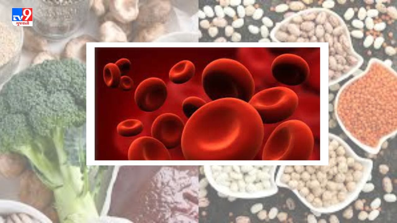Iron Deficiency : આયર્નની ઉણપ સ્વાસ્થ્ય માટે છે હાનિકારક, લક્ષણો દેખાય તો તુરંત કરો ઉપચાર