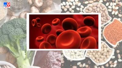 Iron Deficiency : આયર્નની ઉણપ સ્વાસ્થ્ય માટે છે હાનિકારક, લક્ષણો દેખાય તો તુરંત કરો ઉપચાર