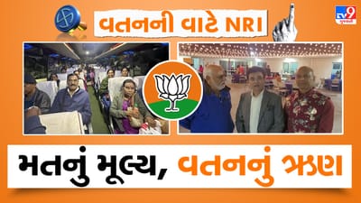 TV9 Exclusive: ગુજરાતની ચૂંટણીમા મતદાન કરવા વતનની વાટે NRI, USAથી ભાજપના બે હજાર પ્રચારક તો 1 લાખ જેટલા કમિટેડ વોટર્સ ગુજરાત પહોચ્યા