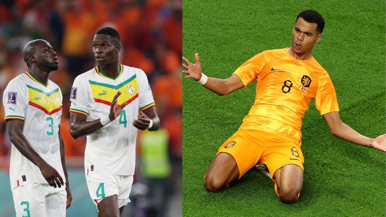 FIFA 2022 Senegal vs Netherlands : સેનેગલ અને નેધરલેન્ડ વચ્ચેની રોમાંચક મેચમાં નેધરલેન્ડની 2-0થી જીત