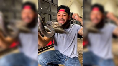 SHOCKING ! અજગર સાથે રમતો જોવા મળ્યો માણસ, છેલ્લે થયું કંઈક આવું....જુઓ વીડિયો