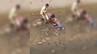 મસ્તી પડી ભારે! નશામાં ધૂત વૃદ્ધે ગળામાં લપેટ્યો અજગર, ગળાને ભરડો લઈ લેતા માંડ માંડ બચ્યો જીવ