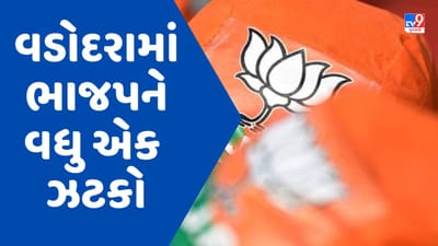 Gujarat Election 2022 : વડોદરામાં ભાજપને વધુ એક ઝટકો, પાદરા APMC ના પ્રમુખ સહિત 12 ડિરેક્ટરોએ રાજીનામા આપ્યા