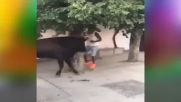 The man hid behind the tree to avoid the bull, but the bull washed him and the video went viral