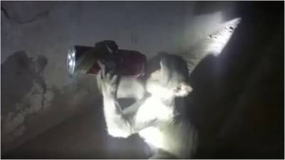 દારુ પીતા વાંદરાનો વીડિયો થયો વાયરલ, લોકો પાસેથી બોટલ છીનવીને પીએ છે દારુ