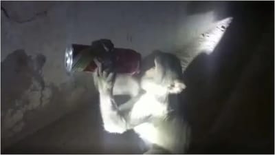 દારુ પીતા વાંદરાનો વીડિયો થયો વાયરલ, લોકો પાસેથી બોટલ છીનવીને પીએ છે દારુ