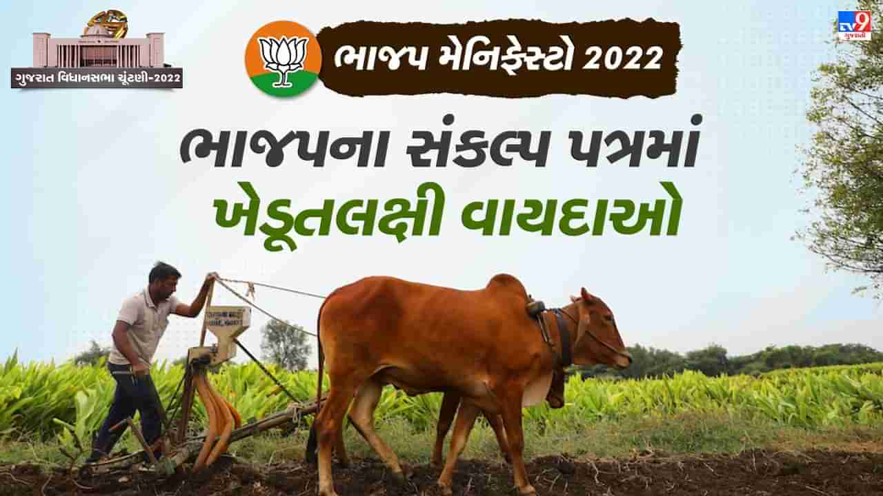 BJP Manifesto 2022: ભાજપના સંકલ્પ પત્રમાં ખેડૂતલક્ષી વાયદાઓ, જાણો ધરતીપુત્રો માટે શું છે?