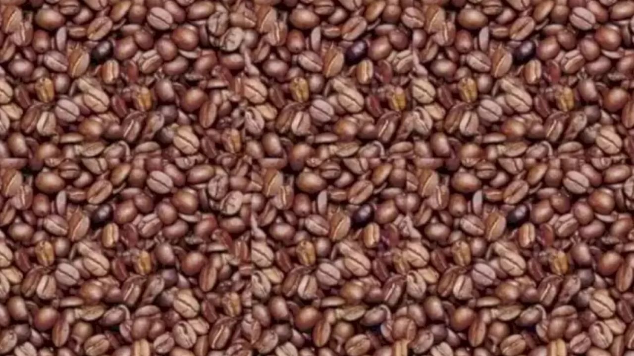 આ રાજ્યના ખેડૂતો હવે ઓર્ગેનિક કોફીની ખેતી કરશે, સરકારે બનાવ્યો રોડ મેપ, તમે પણ લઈ શકો છો લાભ