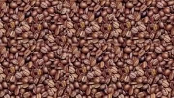 આ રાજ્યના ખેડૂતો હવે ઓર્ગેનિક કોફીની ખેતી કરશે, સરકારે બનાવ્યો રોડ મેપ, તમે પણ લઈ શકો છો લાભ