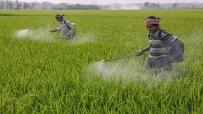 કેન્દ્ર સરકારે જંતુનાશક દવાઓને લઇને નિયમોમાં ફેરફાર કર્યો ! હવેથી જંતુનાશકોની હોમ ડિલિવરી માટે કંપનીઓને આપી મંજૂરી