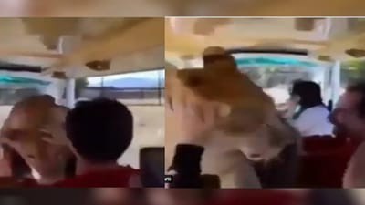 પ્રવાસીઓથી ભરેલી ગાડી પર અચાનક ચઢી ગઈ સિંહણ, પછી જે થયું તે જોઈ ચોંકી જશો, જુઓ વાયરલ વીડિયો