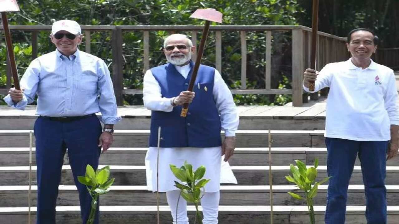 G20 સમિટ: PM મોદી અને વિશ્વના અન્ય નેતાઓ બાલીમાં તમન હુતાન રાયા મેન્ગ્રોવ જંગલની મુલાકાત લીધી