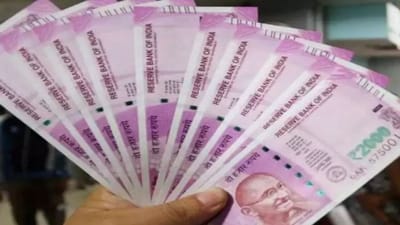 જો તમારે જલ્દી કરોડપતિ બનવું હોય તો કરો આ ખેતી, જાણો આ ખેતીમાં અઢળક કમાણી વિશે