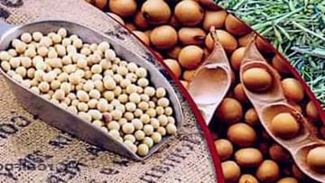સોયાબીનના ભાવમાં વધારો, ખેડૂતોને મળી થોડી રાહત, જાણો બજારમાં આ ચાલી રહ્યા છે ભાવ