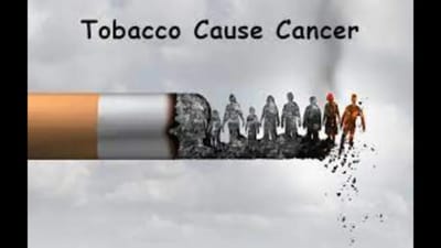 તમાકુ છોડવાથી કેન્સરનું જોખમ કેટલું ઘટાડી શકાય છે? જાણો નિષ્ણાતોના અભિપ્રાય