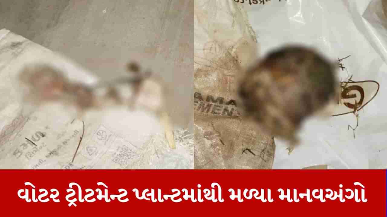 Ahmedabad: કોતરપુર વોટર ટ્રીટમેન્ટ પ્લાન્ટમાંથી મળ્યા માનવ અંગો, પૂર્વ વિસ્તારમાં આ જ ટ્રીટમેન્ટ પ્લાન્ટમાંથી અપાય છે પાણી