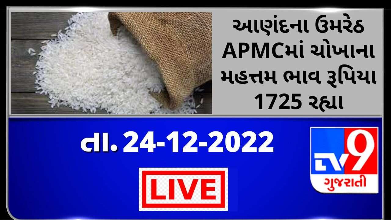 Mandi : આણંદના ઉમરેઠ APMCમાં ચોખાના મહત્તમ ભાવ રૂપિયા 1725 રહ્યા, જાણો જુદા-જુદા પાકના ભાવ