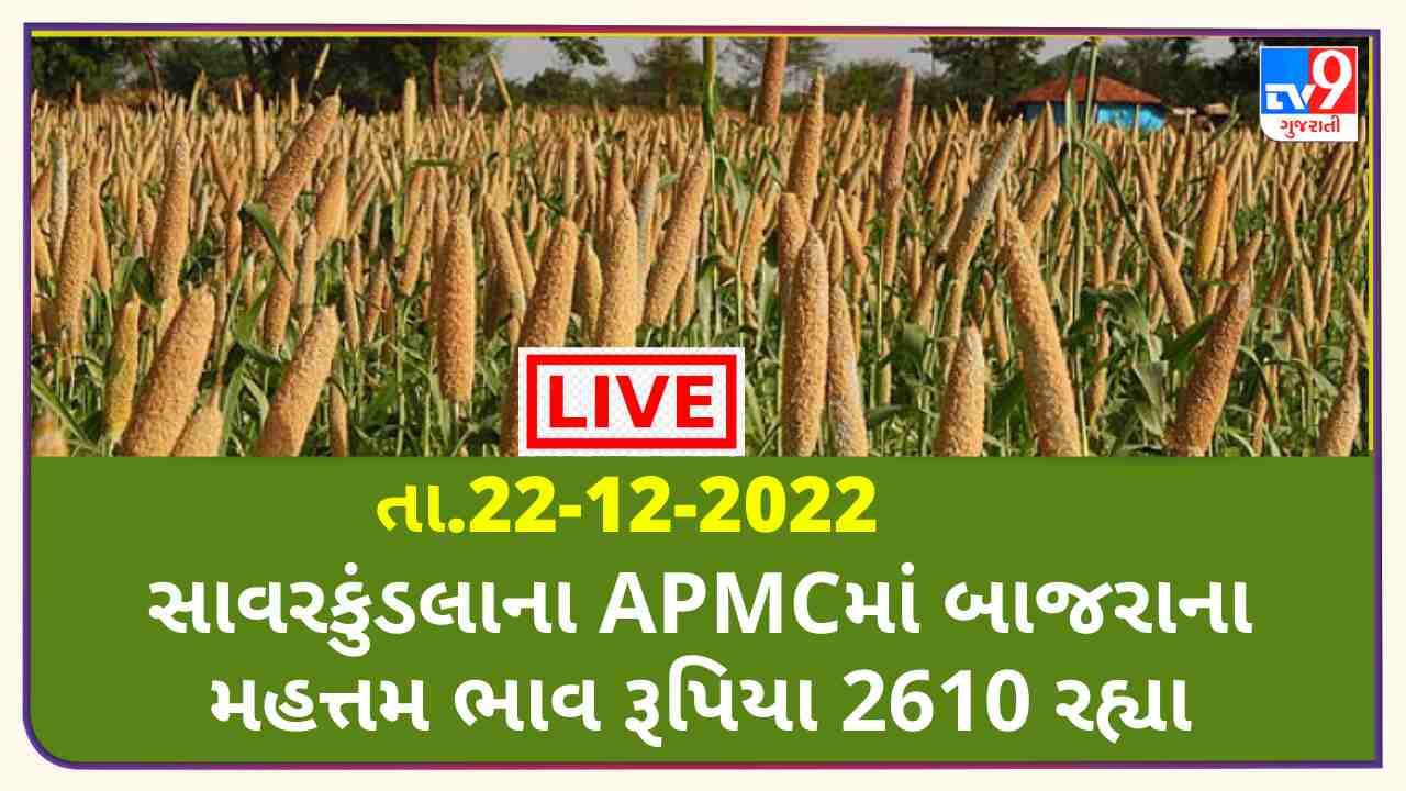 Mandi : સાવરકુંડલાના APMCમાં બાજરાના મહત્તમ ભાવ રૂપિયા 2610 રહ્યા, જાણો જુદા-જુદા પાકના ભાવ