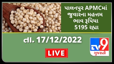Mandi: પાલનપુર APMCમાં જુવારના મહત્તમ ભાવ રૂપિયા 5195 રહ્યા,જાણો જુદા-જુદા પાકના ભાવ