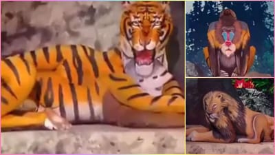 કલાકારની અદ્ભૂત કળાએ માણસોને બનાવ્યા પ્રાણી, આનંદ મહિન્દ્રાએ શેર કર્યો સુંદર કળાનો વીડિયો