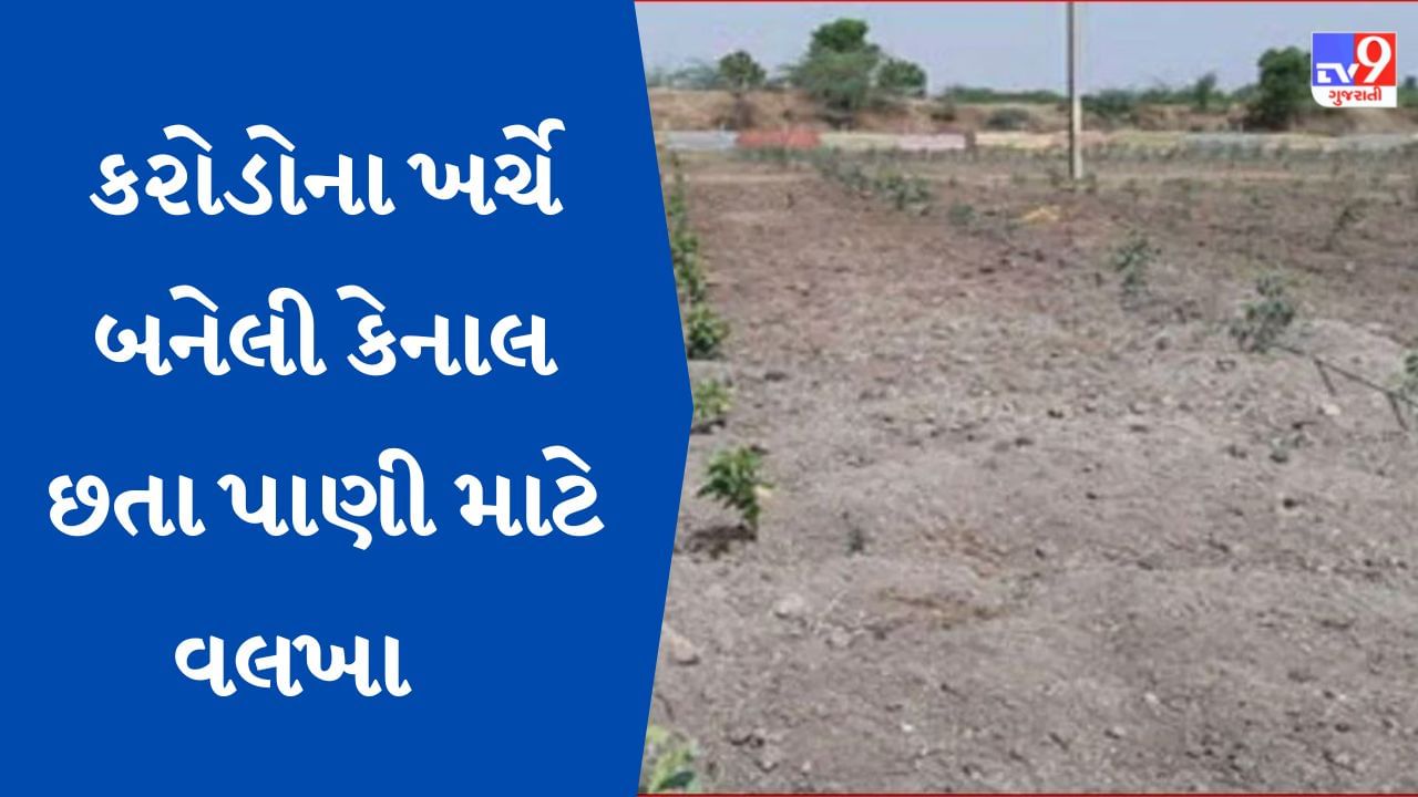 chhota udepur : નર્મદા ડેમ નજીક હોવા છતા ખેડૂતોને સિંચાઇના પાણી માટે મારવા પડે છે વલખા, જાણો શું છે કારણ