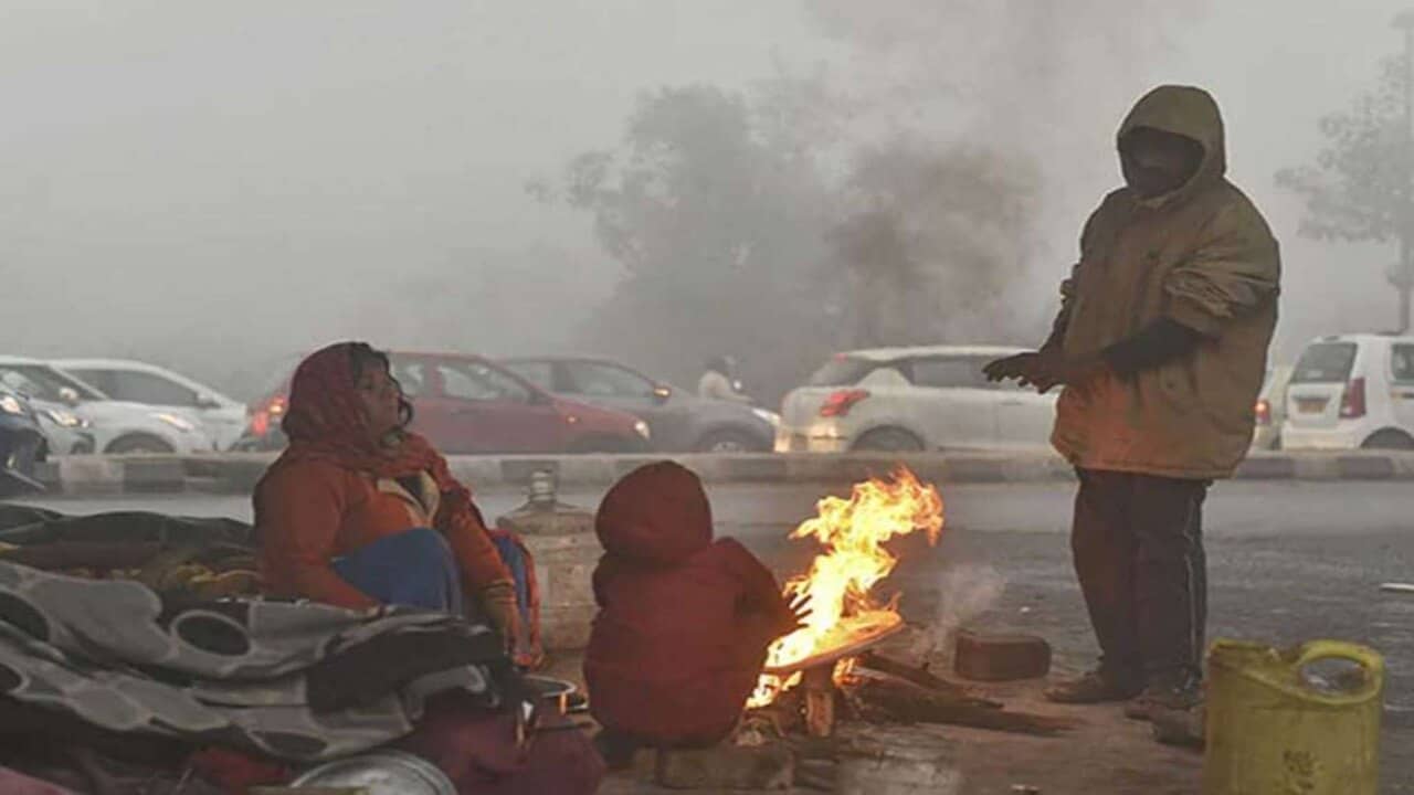 ગુજરાતમાં ઠંડા પવનો ફુંકાવાને કારણે ઠંડીનું જોર વધ્યુ, નલિયા 4.9 ડિગ્રી સાથે ઠુંઠવાયુ