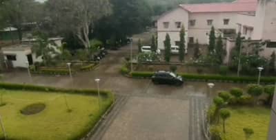 Dang: ભરશિયાળે ચોમાસું, બદલાયેલા વાતાવરણને પગલે આહવામાં માવઠું, ખેડૂતો ચિંતામાં