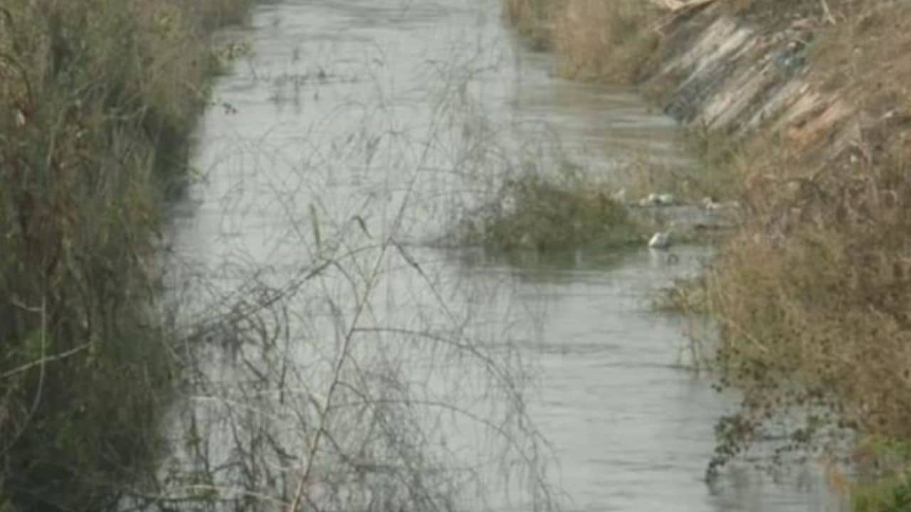 Banaskantha: વાવના માડકા નજીકની કેનાલમાં ગાબડું પડતા એરંડા જીરું સહિતના પાકમાં ફરી વળ્યું પાણી