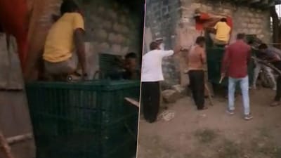 Gir somnath: ઉના નજીકથી દીપડાનું રેસ્ક્યૂ કરવામાં આવ્યું, ખેડૂતોએ સતર્કતાથી બચાવ્યો જીવ