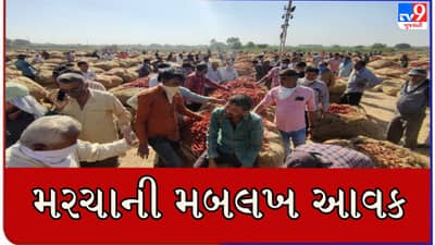 Rajkot : સૌરાષ્ટ્રના પ્રખ્યાત ગોંડલ માર્કેટિંગ યાર્ડમાં પ્રથમ હરાજીમાં જ સૂકા મરચાની મબલખ આવક