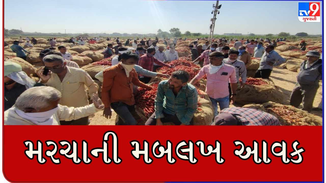 Rajkot : સૌરાષ્ટ્રના પ્રખ્યાત ગોંડલ માર્કેટિંગ યાર્ડમાં પ્રથમ હરાજીમાં જ સૂકા મરચાની મબલખ આવક