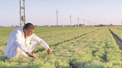 ગુજરાતમાં ખેડૂતોને ઝીરો ટકા પાક ધિરાણ યોજના હેઠળ 417 કરોડ રૂપિયાની રકમ વ્યાજ સહાય પેટે ચૂકવાશે