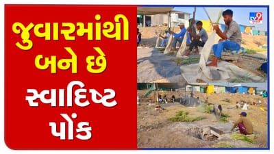 Surat : બારડોલી પંથકમાં મોટાપાયે જુવારનું વાવેતર, હાઇવે પર પોંક સેન્ટરની ભરમાર