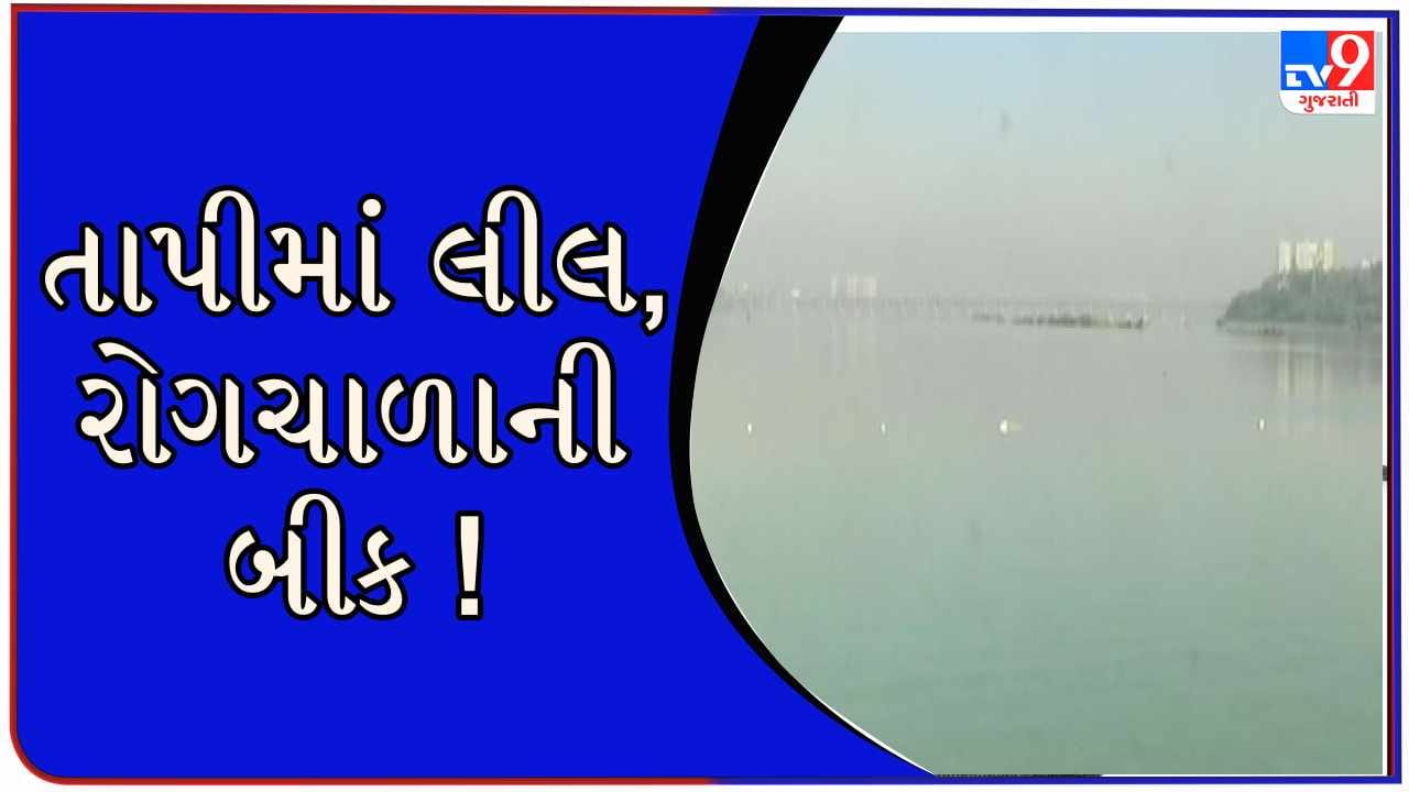 Surat : તાપી નદીમાં પ્રદૂષણનું સામ્રાજ્ય, હાલ સુરતીઓ લીલ વાળું પાણી પીવા બન્યા મજબૂર Surat : તાપી નદીમાં પ્રદૂષણનું સામ્રાજ્ય, હાલ સુરતીઓ લીલ વાળું પાણી પીવા બન્યા મજબૂર