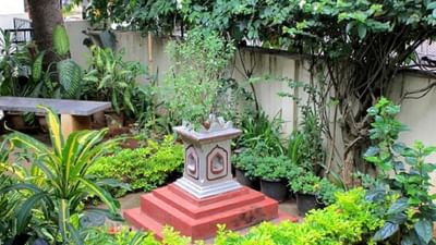 ભૂલથી પણ તુલસીક્યારે આ વસ્તુ ના મુક્તા, તે તમને કંગાળ બનાવી શકે છે