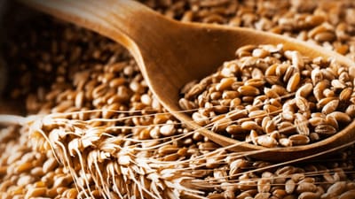 ઘઉંના લોટને બદલે તમે તમારા ડાયટમા  જુવાર, બાજરી, મકાઈ અને રાગીમાંથી બનાવેલા લોટનુ સેવન કરવાથી સ્વસ્થ સારુ બને છે. નિષ્ણાતો અનુસાર સામાન્ય લોટ કરતાં મોટા દાણાવાળો લોટ સારો હોય છે.