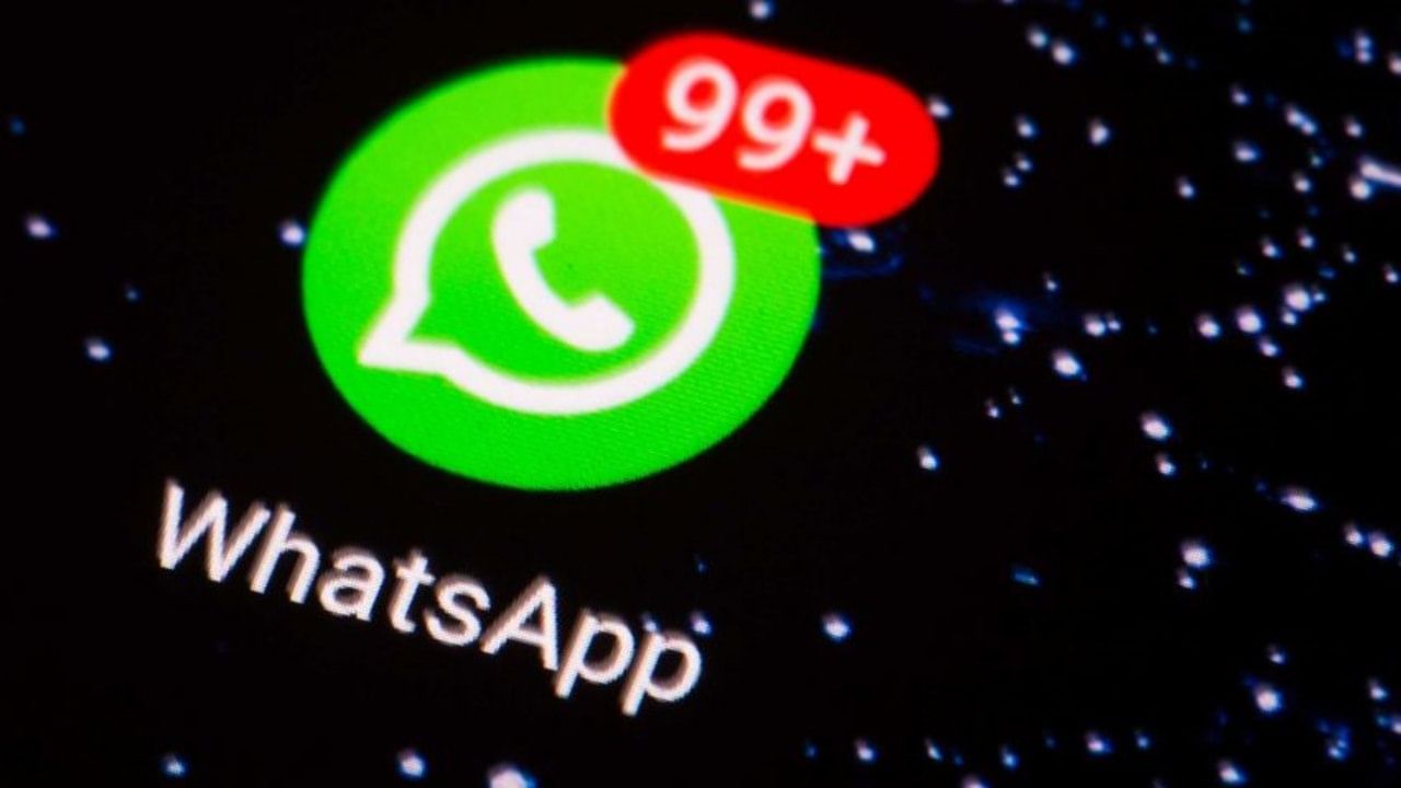 WhatsApp નું દમદાર ફીચર, બદલાઈ જશે વીડિયો કોલની રીત, જાણો શું છે ખાસ