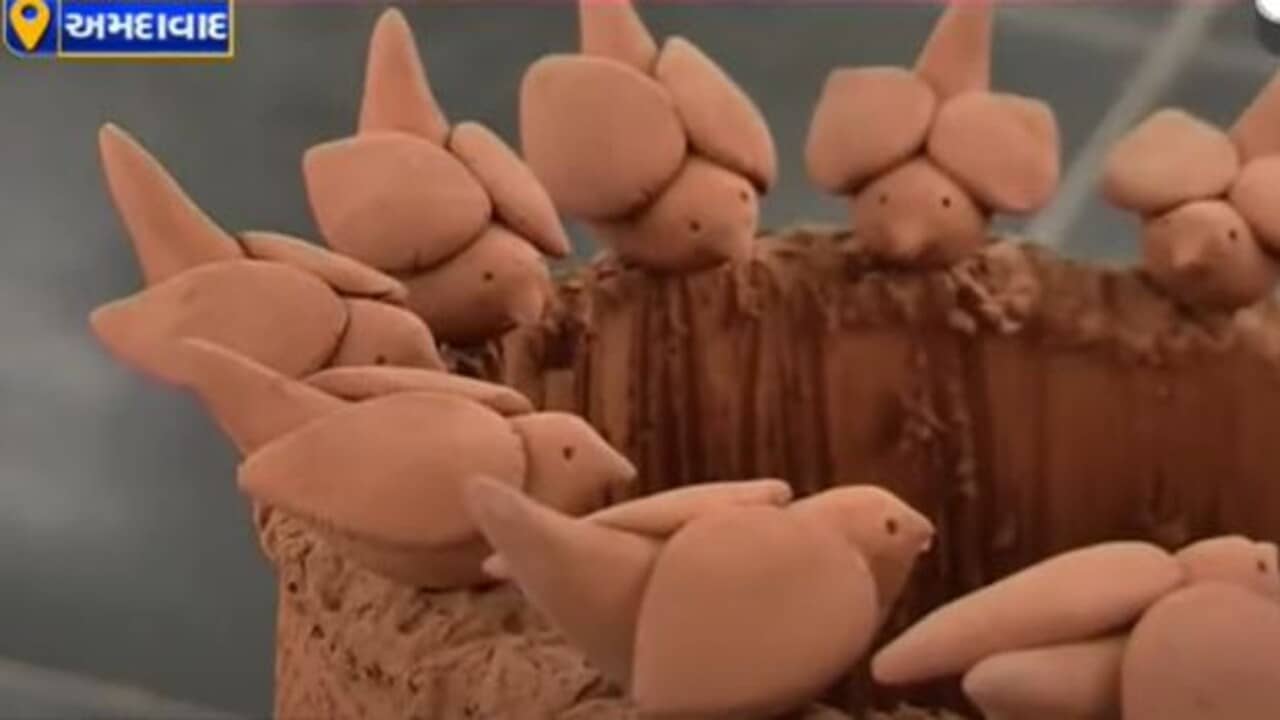 ચકલીઓની લુપ્તતા અટકાવવા પ્રયાસ ! અમદાવાદમાં માટી કલાકારે ચકલીઓ બનાવી અનોખું પ્રદર્શન યોજ્યું