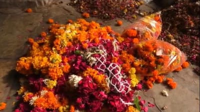 Mehsana : બહુચરાજી મંદિર દ્વારા પર્યાવરણ સંવર્ધનનો નવતર પ્રયોગ, અર્પણ કરાયેલા ફુલોમાંથી બનશે જૈવિક ખાતર Mehsana : બહુચરાજી મંદિર દ્વારા પર્યાવરણ સંવર્ધનનો નવતર પ્રયોગ, અર્પણ કરાયેલા ફુલોમાંથી બનશે જૈવિક ખાતર