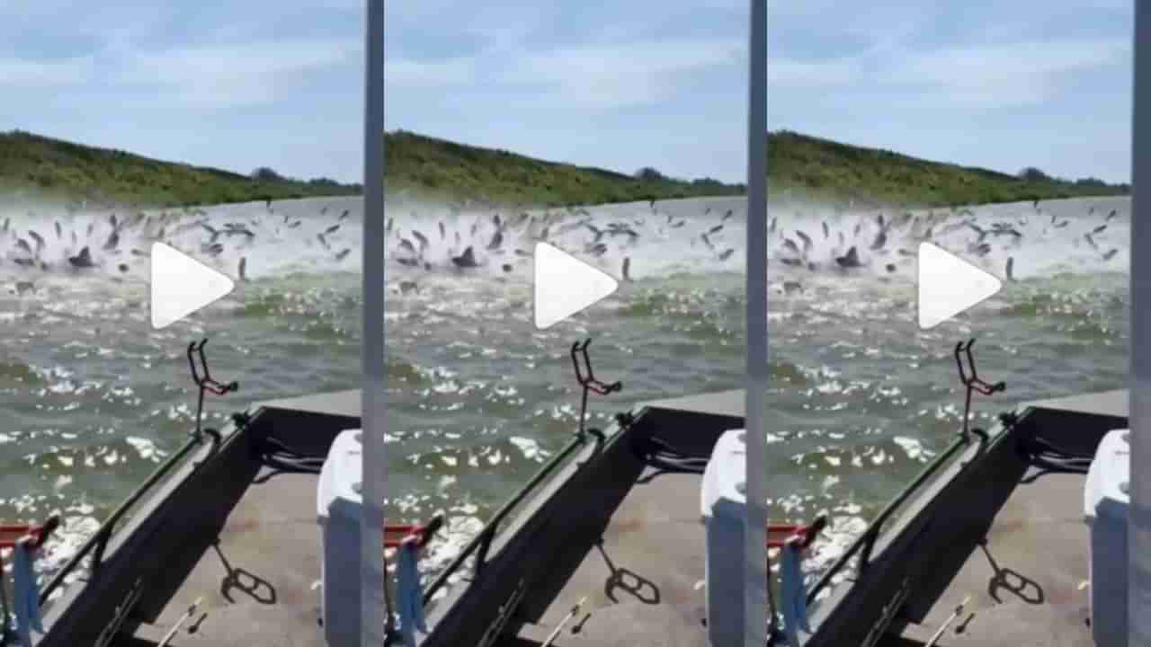 નદીમાં જોવા મળ્યું માછલીઓનું પુર, નજારો જોઈને લોકો થયા હેરાન, જુઓ વીડિયો