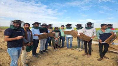 કચ્છ જિલ્લામાં શ્વેતક્રાંતિ બાદ મધ ક્રાંતિ માટે સરહદ ડેરીના પ્રયાસ, 52 મધ ઉછેરકોને તાલીમ અપાઇ