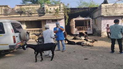 વધારેમાં વધારે લોકો મતદાન કરવા માટે પ્રેરાય તે હેતુથી મતદાન જાગૃતિ માટે જૂનાગઢ જિલ્લા વહીવટી તંત્રએ અનોખી પહેલ કરી છે.