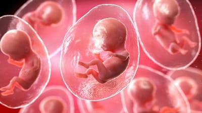 દુનિયામાં ભવિષ્યમાં નર-નારી વગર પણ બાળકો પેદા થઈ શકશે. એક બાયોટેક કંપની  બાળકના ભ્રૂણને સિન્થેટિક રીતે વિકસિત કરશે. સંભાવના છે કે ભવિષ્યમાં બાળકો બનાવતી ફેક્ટરી શરુ થશે. 