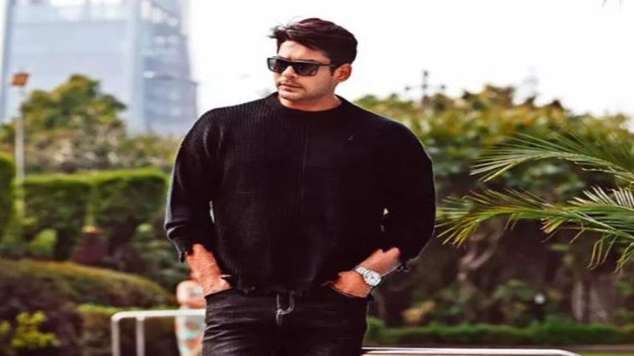 આ પછી તેને ટીવી જાહેરાતો મળવા લાગી. વર્ષ 2008માં સિદ્ધાર્થ શુક્લાએ ટીવીની દુનિયામાં એન્ટ્રી કરી હતી. તેણે બાબુલ કા આગન છૂટે ના સિરિયલથી અભિનયની શરૂઆત કરી હતી. આ પછી 'લવ યુ ઝિંદગી' અને પછી બાલિકા વધૂ સિરિયલમાં જોવા મળ્યો. સિદ્ધાર્થ શુક્લાને બાલિકા વધુથી વિશેષ ઓળખ મળી.