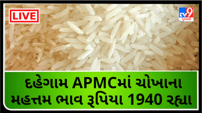 Mandi: દહેગામ APMCમાં ચોખાના મહત્તમ ભાવ રૂપિયા 1940 રહ્યા,જાણો જુદા-જુદા પાકના ભાવ