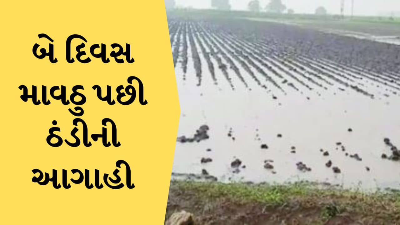 સૌરાષ્ટ્ર અને દક્ષિણ ગુજરાતમાં કમોસમી વરસાદની આગાહી, 2 દિવસ બાદ વધશે ઠંડીનો ચમકારો
