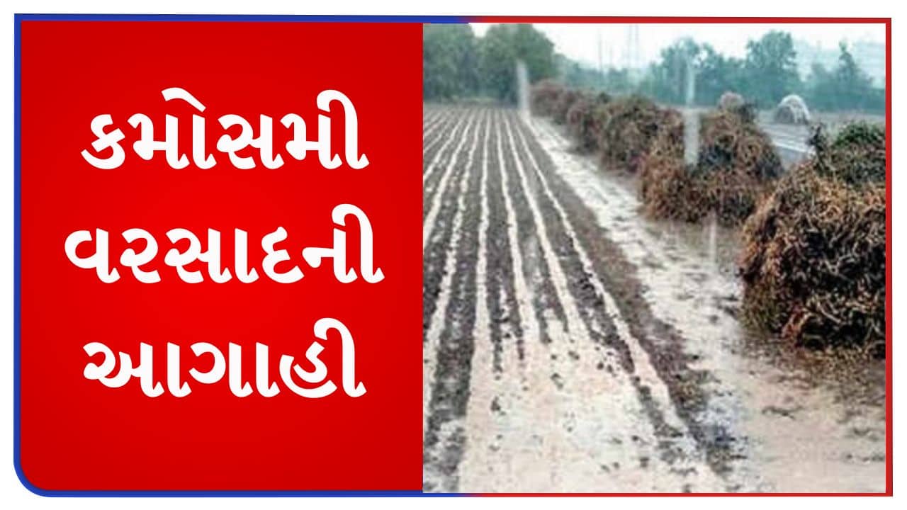 Weather Update : ભર શિયાળામાં ગુજરાતમાં રહેશે વરસાદી માહોલ, કચ્છમાં કોલ્ડવેવની હવામાન વિભાગની આગાહી