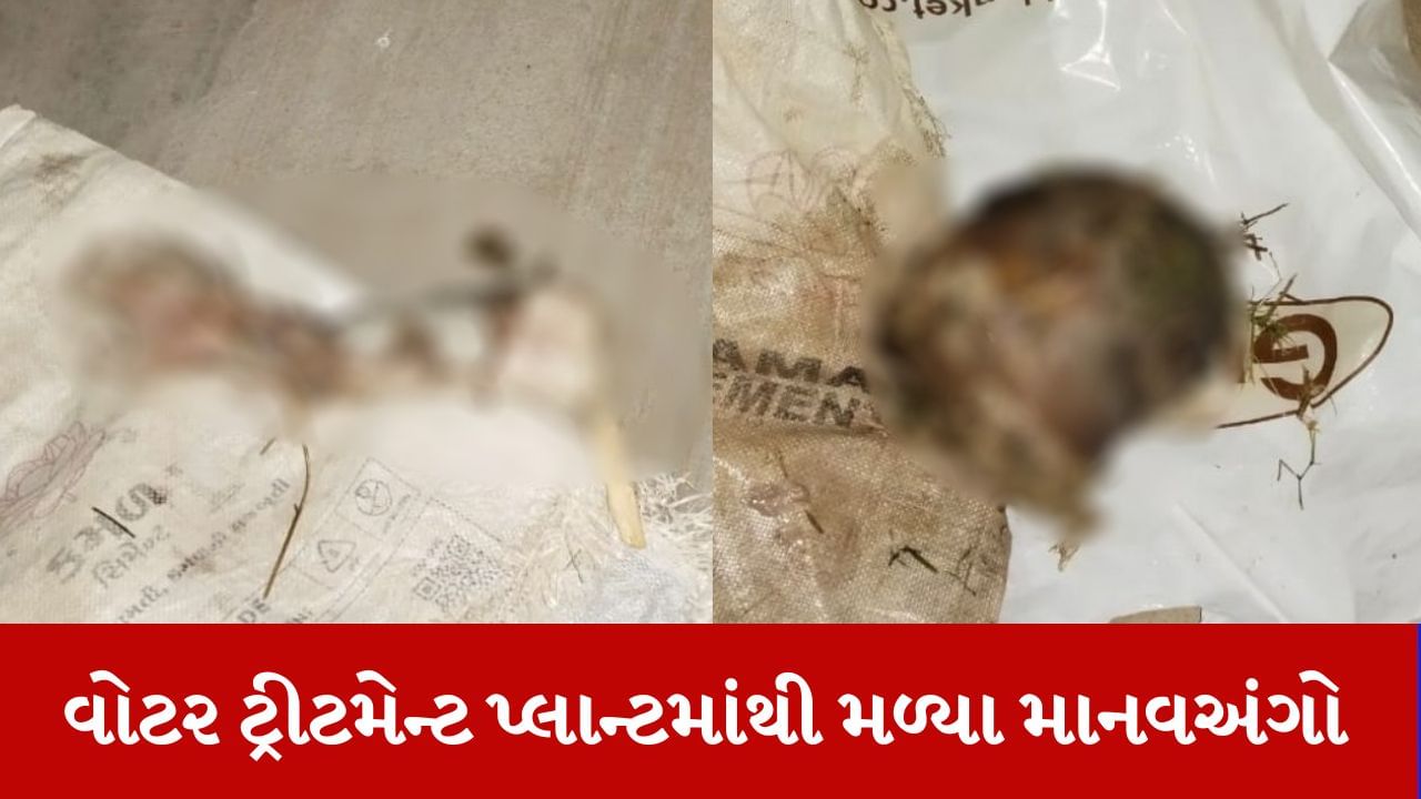 Ahmedabad: કોતરપુર વોટર ટ્રીટમેન્ટ પ્લાન્ટમાંથી મળ્યા માનવ અંગો, પૂર્વ વિસ્તારમાં આ જ ટ્રીટમેન્ટ પ્લાન્ટમાંથી અપાય છે પાણી