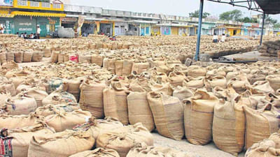 Jamnagar: હાપા માર્કેટિંગ યાર્ડમાં અજમાની આવક શરૂ, સારા ભાવ મળતા ખેડૂતો ખુશખુશાલ